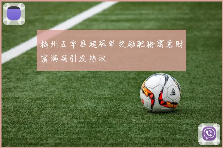 梅州五华县超冠军奖励肥猪寓意财富满满引发热议