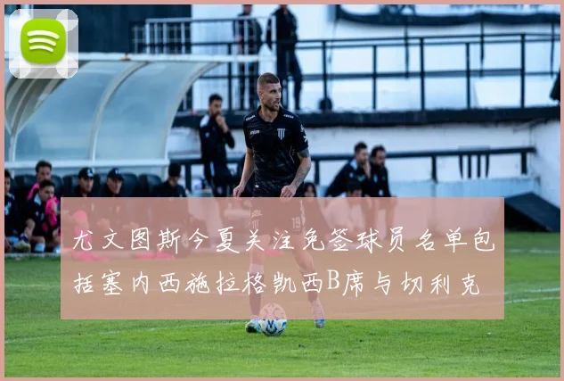尤文图斯今夏关注免签球员名单包括塞内西施拉格凯西B席与切利克
