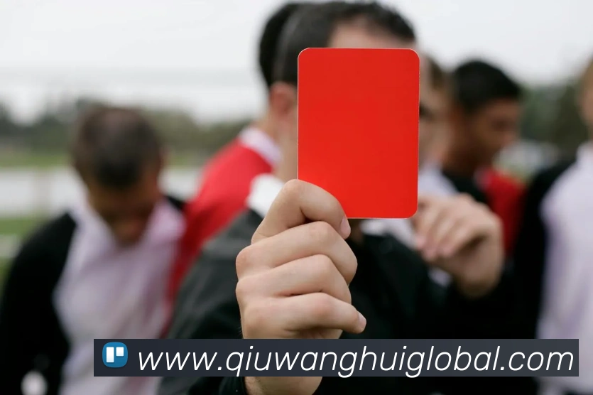 球王会APP 封面图